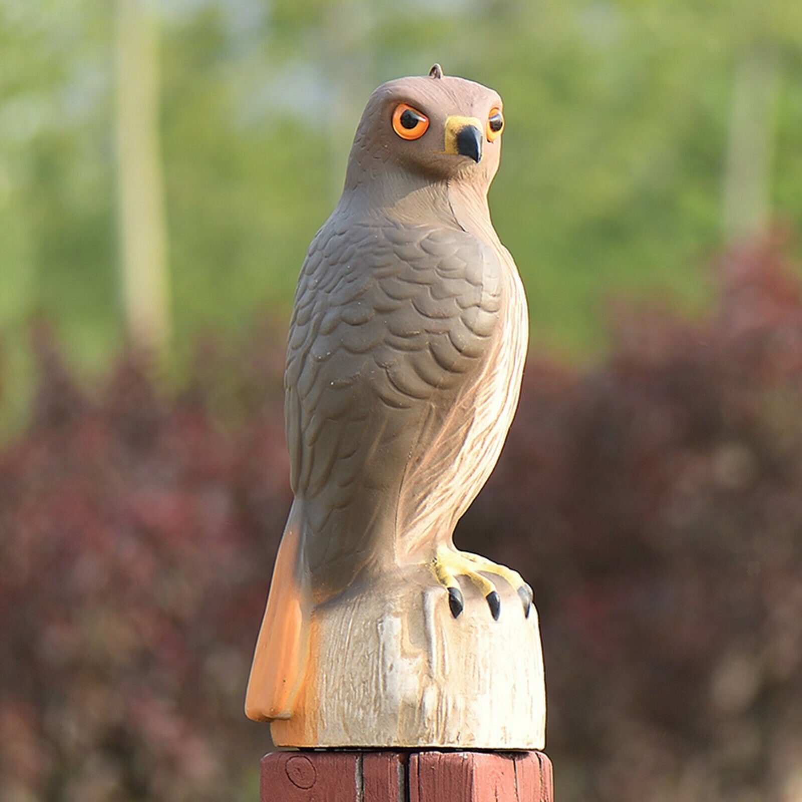Hawk Bird Deterrent Decoy Statue Yard Garden Scarecrow Scarer Pest Help