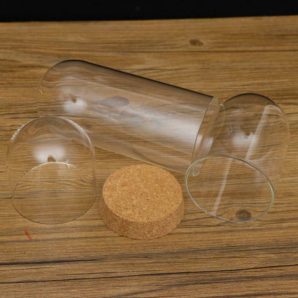 8x18 & 6.5x10cm Glass Dome Cover Cloche Bell Jar Terrariums with Wood