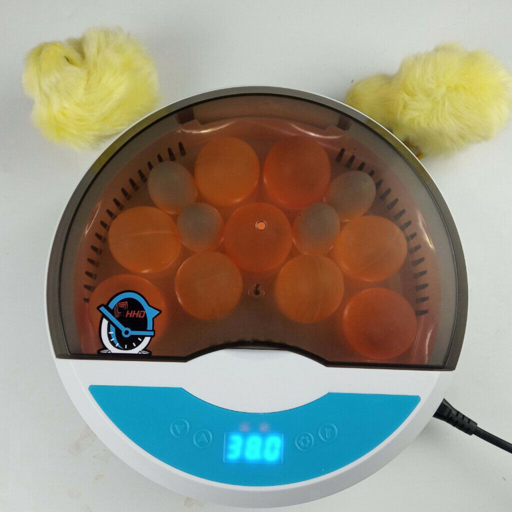 Digital Mini Fully Automatic Egg Incubator with Low Noise Ceramic heater, 9 Eggs