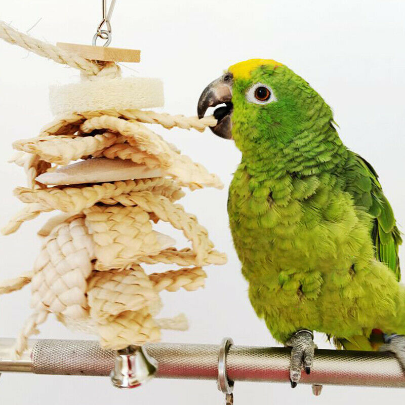 Parrot Pet Bird Chew Cages Hang Toys Chewing Swing Toys Cage Hanging Toys HN US