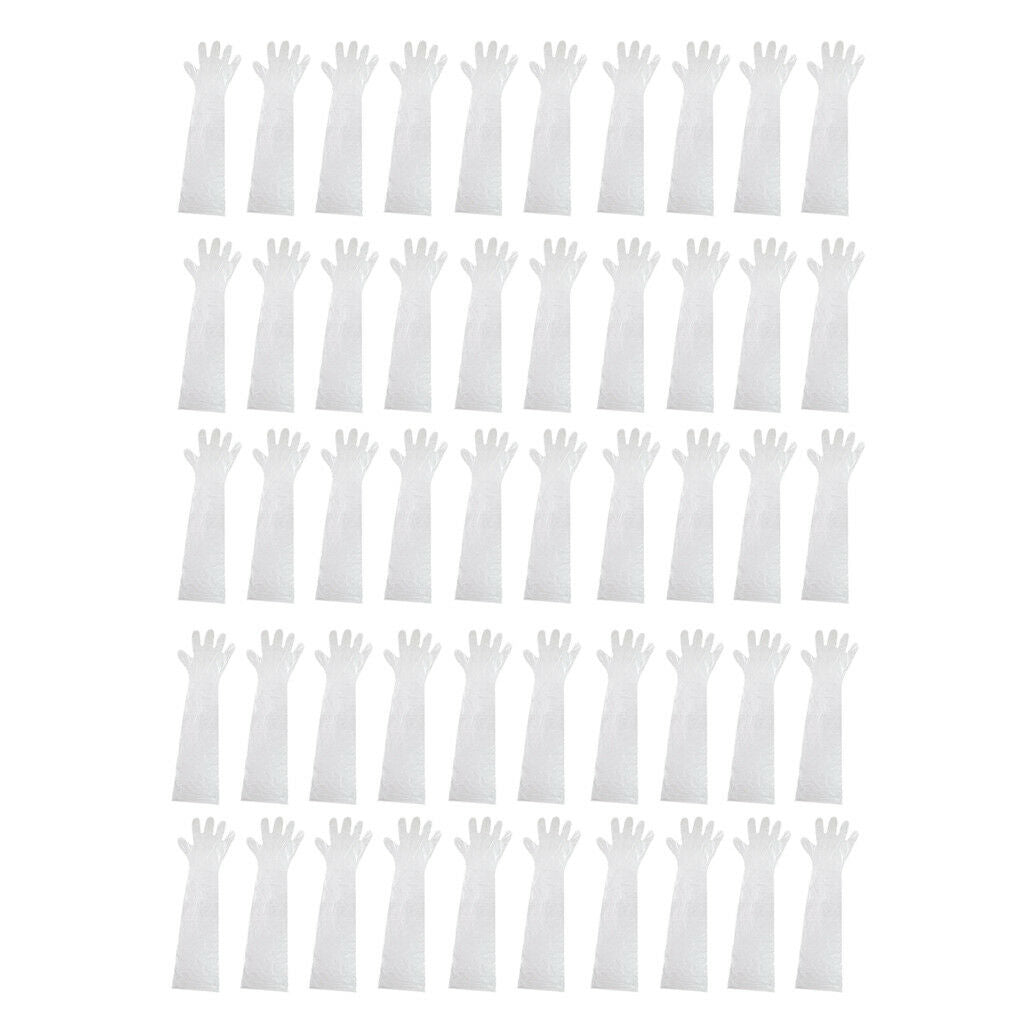 50x Shoulder Length Gloves Horse Cattle Artificial Insemination Gloves Clear
