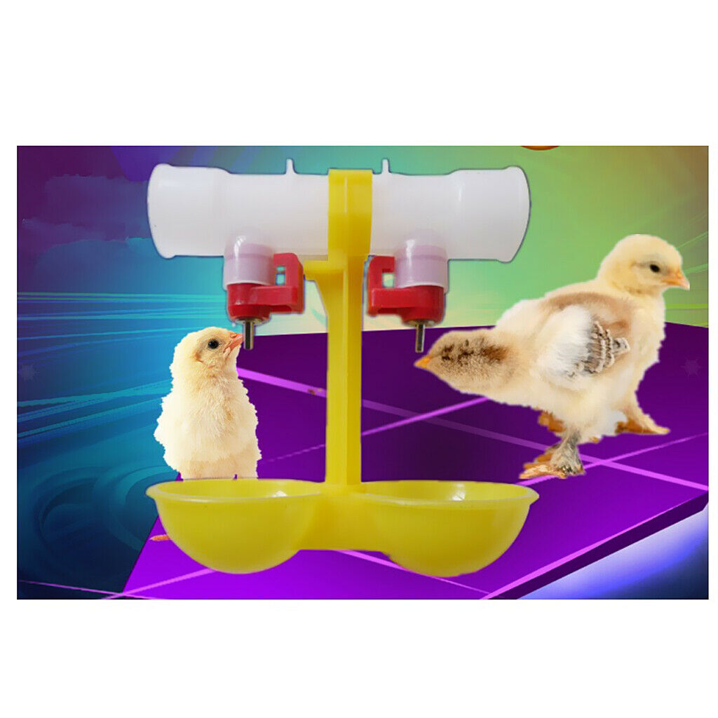 10x Double Feeder Drinker Chicken Drinking  Cup Chickens Hens Ducks