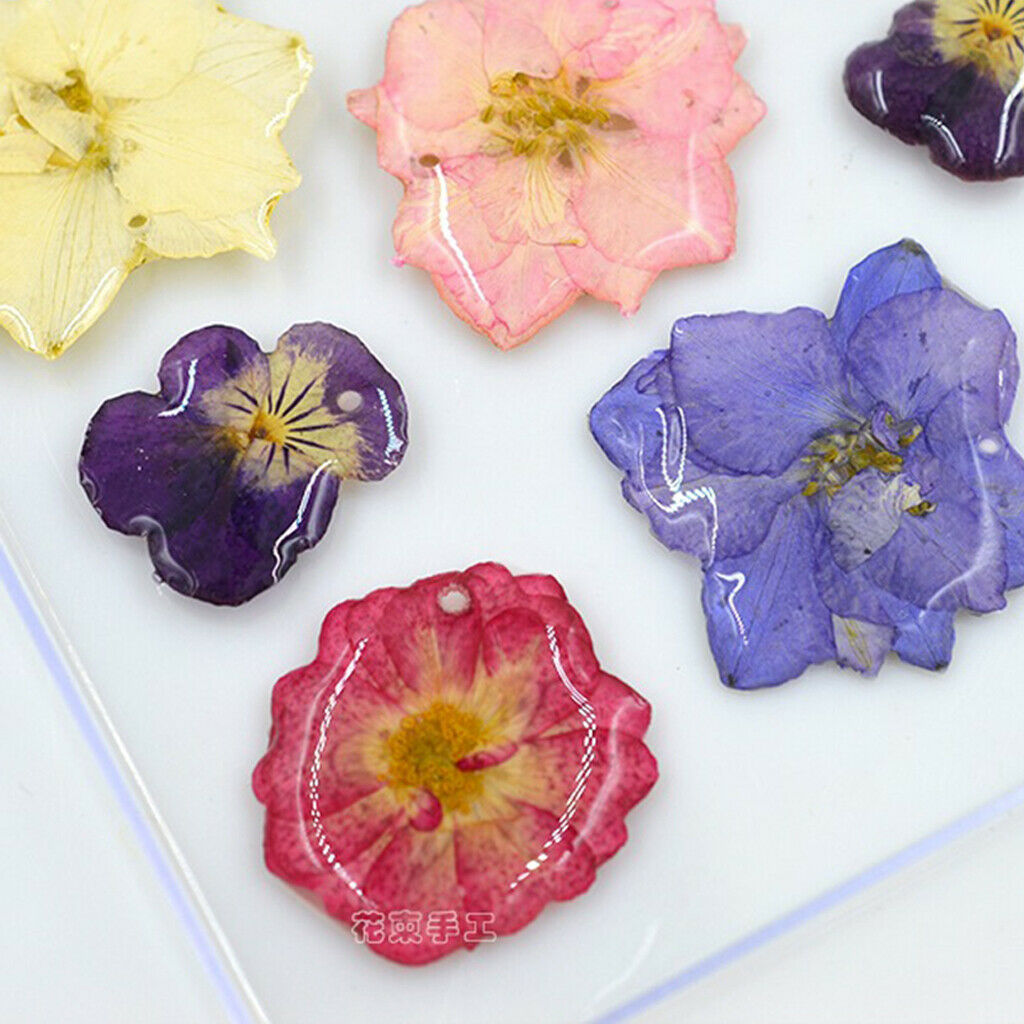 20  Coreopsis Dried Flower Embellishment For DIY Phone Case Decoration