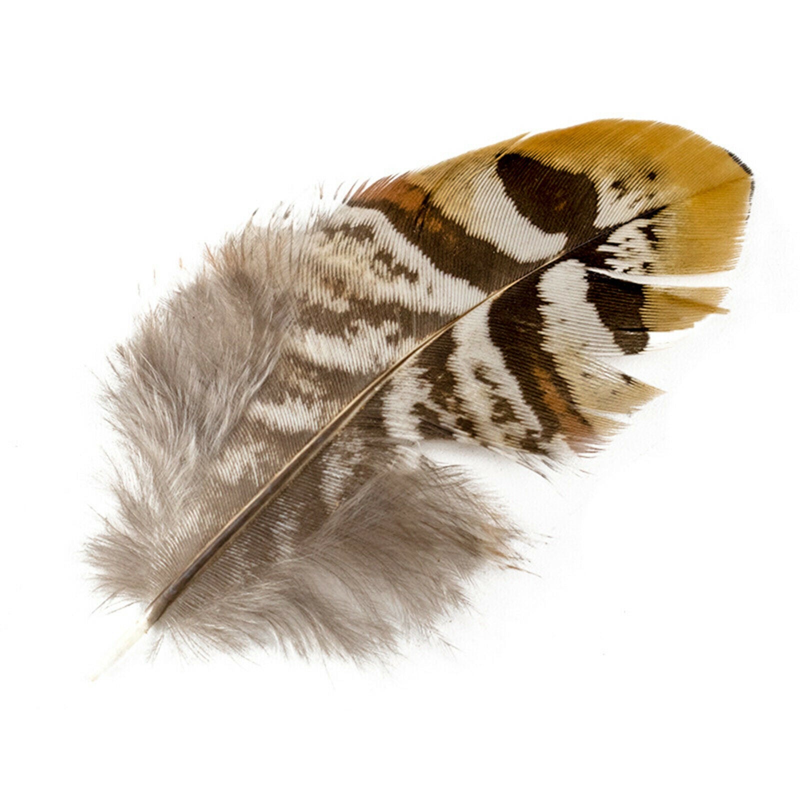 Natural Pheasant Feather Home Background Dream Catcher Earrings DIY 6-11cm
