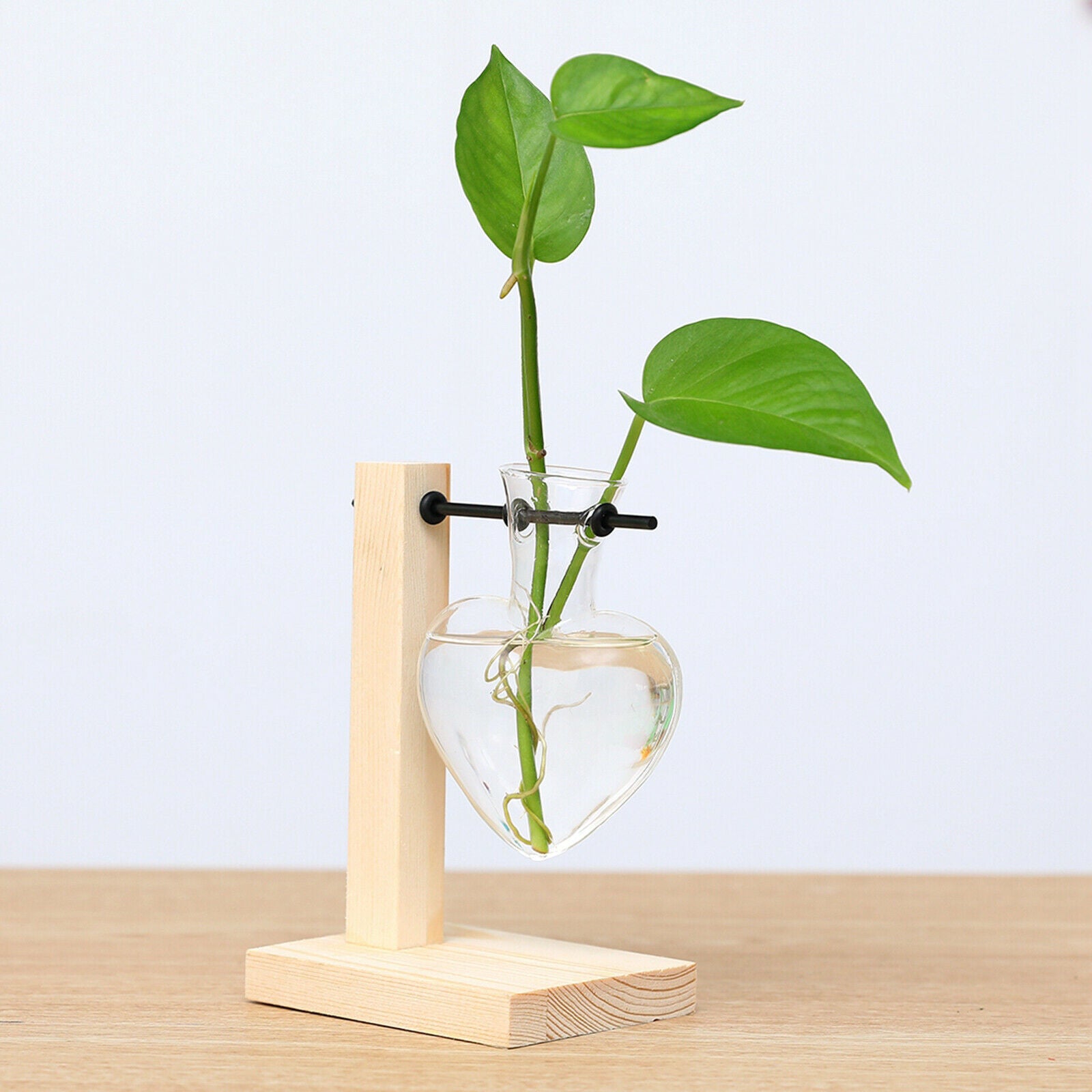 Glass Vase with Wooden Stand Frame for Hydroponics Plants Desktop