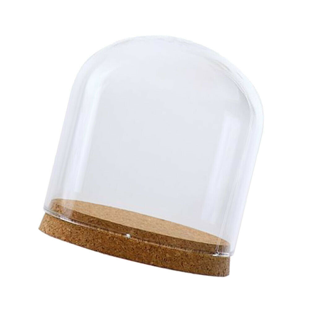 Glass Cloche Dome Cover Succulent Terrariums with Wood Cork Tabletop Decor S