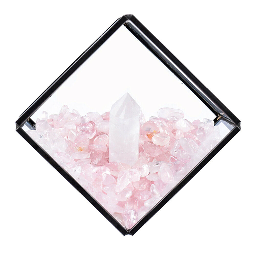 Natural Rock Mineral Collection Geology Earth Science Kit Ornament White