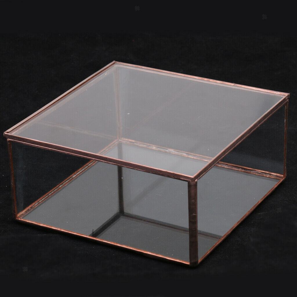 Geometric Glass Jewelry Box Tabletop Terrarium Plant Succulent Planter Box L
