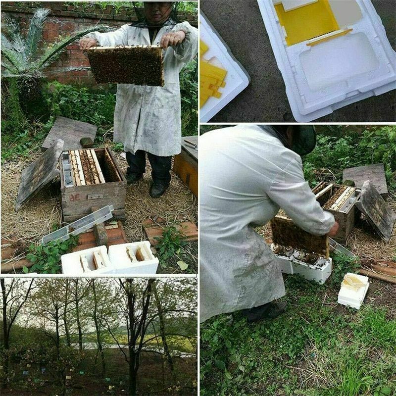 Queen Bee Rearing Mating Hive Tools Equipment Kit Beekeeping Tool Beehive Box