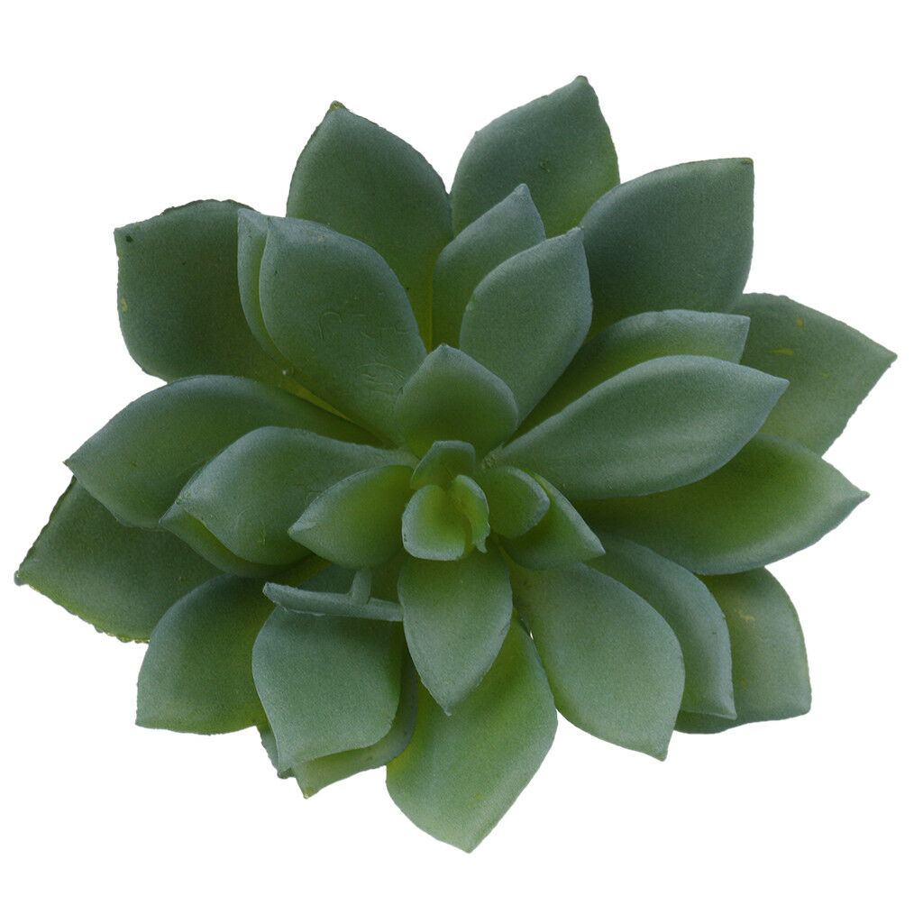 2pcs Artificial Flowers Lifelike Succulent Plants Real Touch Echeveria Lotus