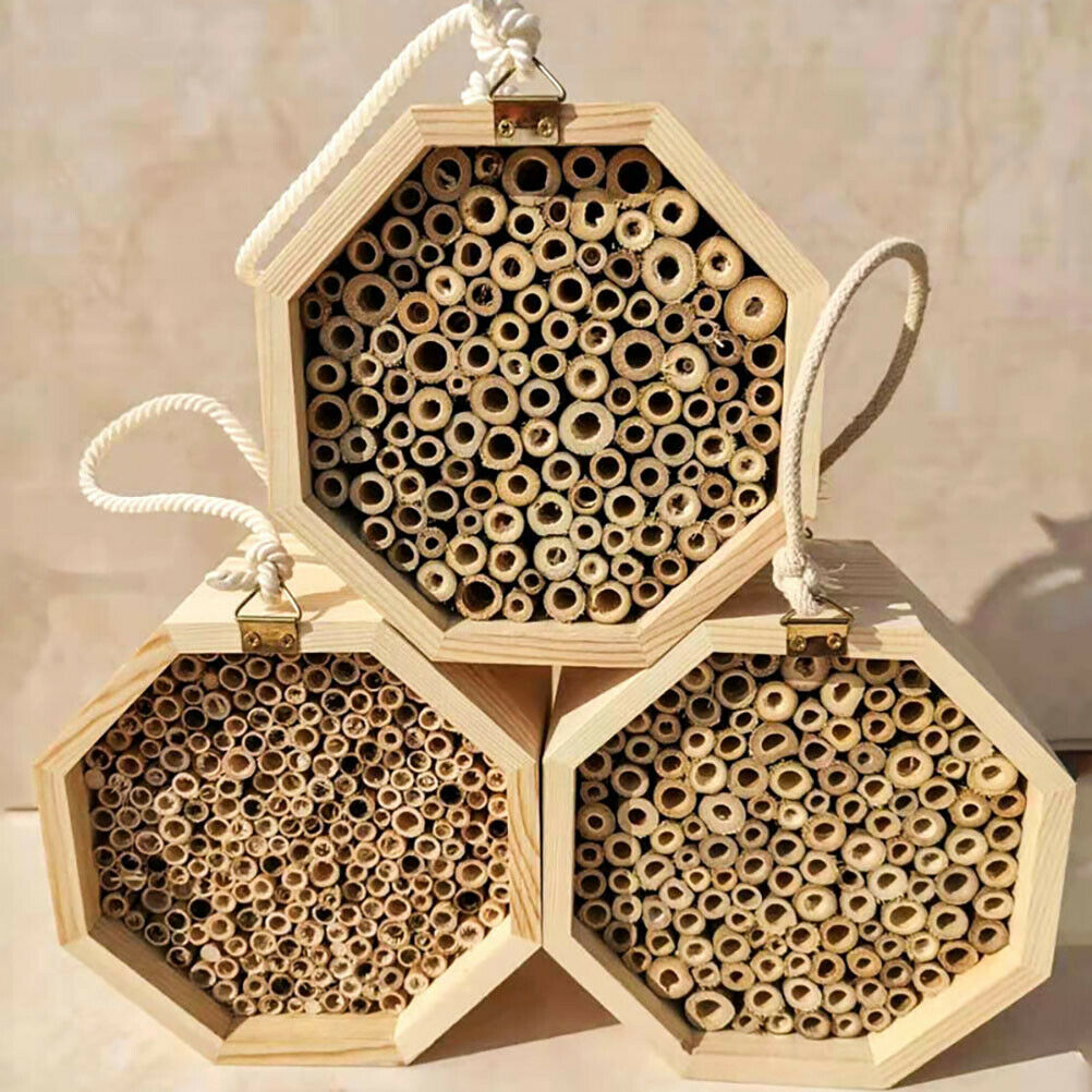 1Pcs Wooden Bee House Set Tube Beekeeping Box Bees Nesting Box Garden Insect Box