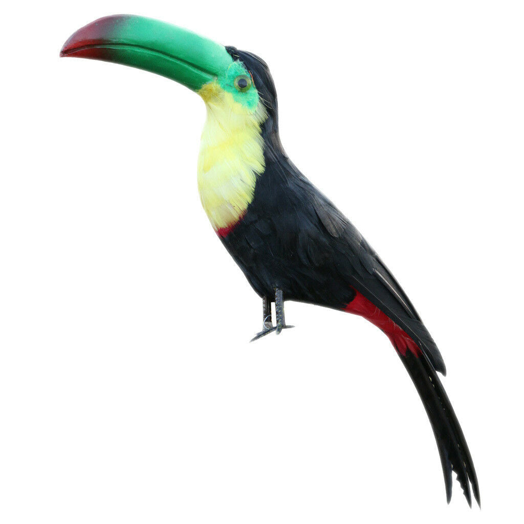Artificial   Feather Birds Toucan Tree Decorations Craft Ornaments #8