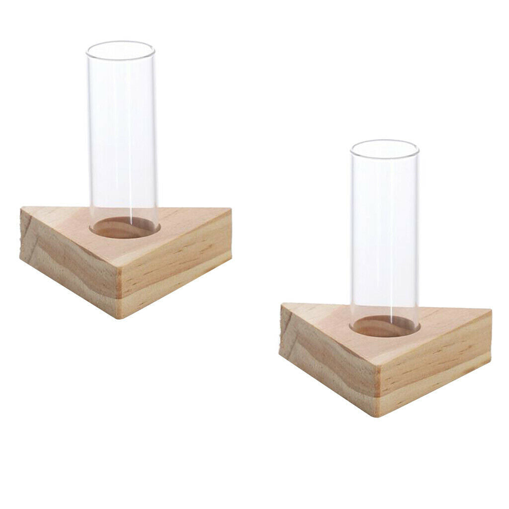 2pcs Glass Test Tube Vase In Wooden Stand For Hydroponic Plants DIY Planting