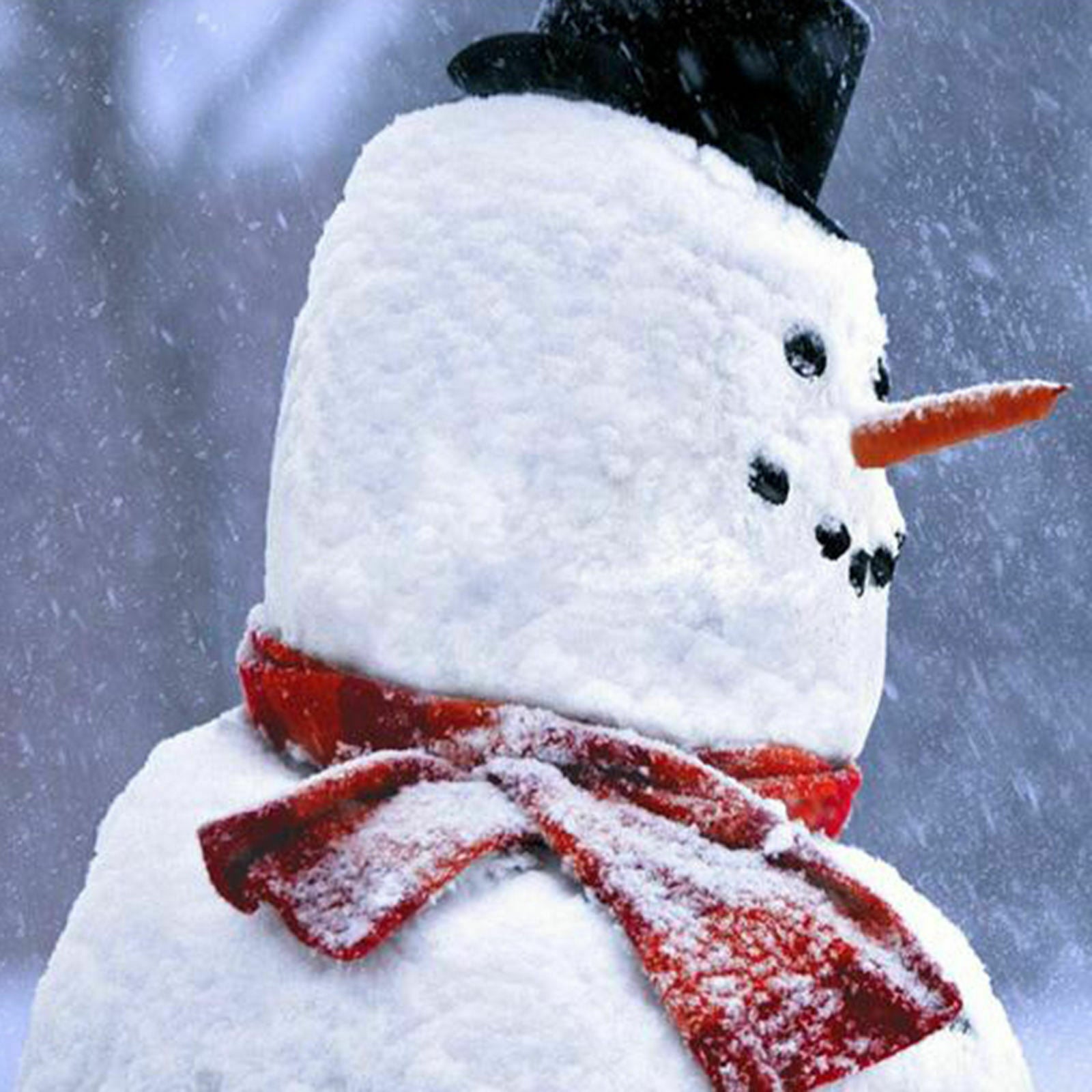 Snowman Kit Hat Scarf Eyes Hands Snowman Christmas Holiday Party