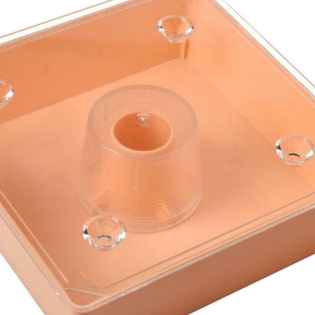 Square 2L Beehive Top Feeder Bee Feeder Beekeeping Tool High-quality Durable