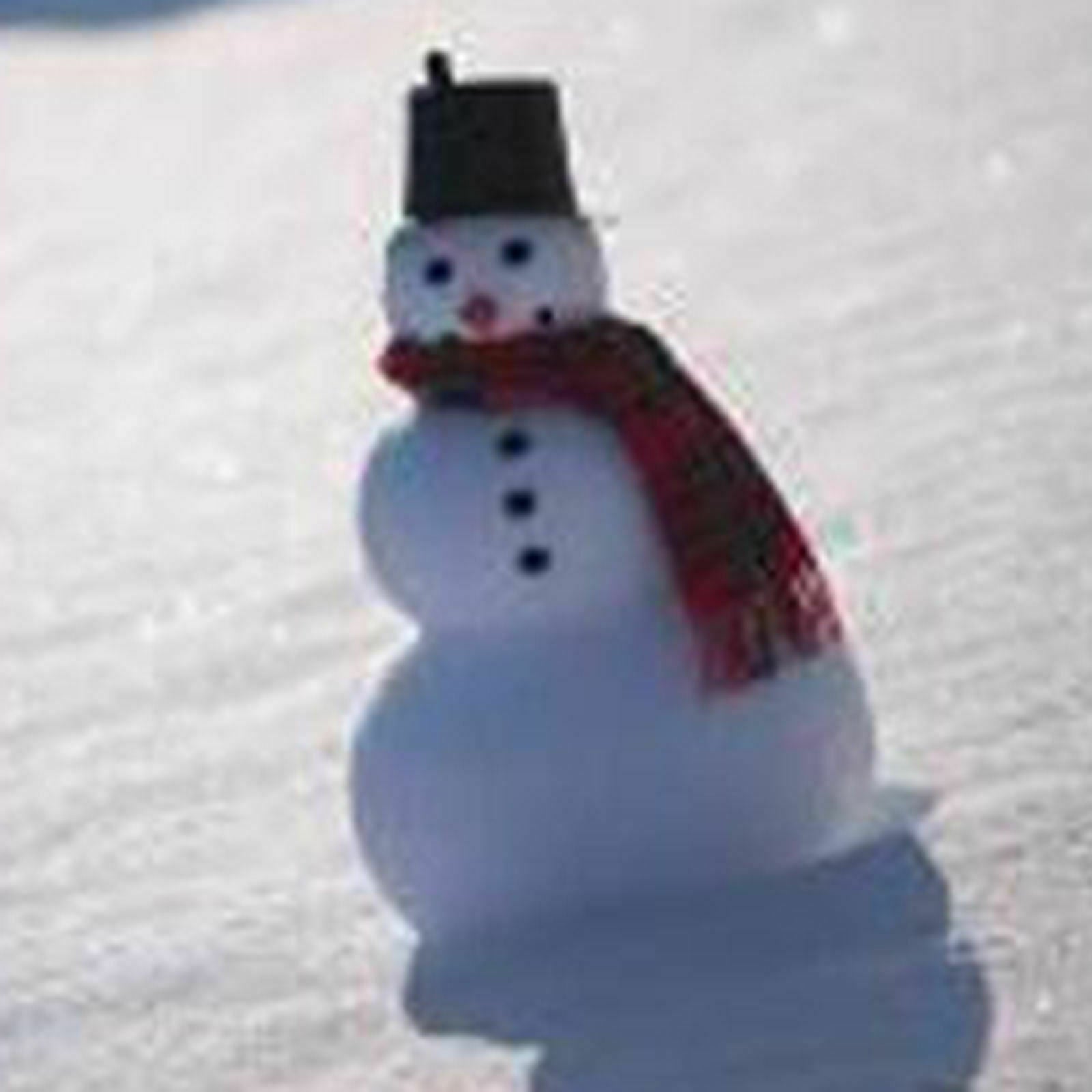 Snowman Kit Hat Scarf Eyes Hands Snowman Christmas Holiday Party