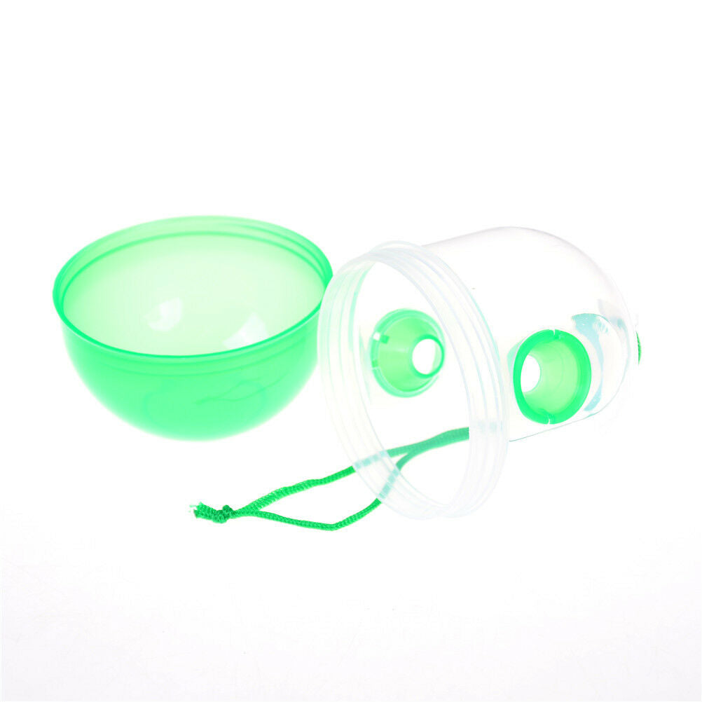 Outdoor Wasp Fly Trap Catcher Beekeeping Equipment Tools for Wasps Bees Horn DD