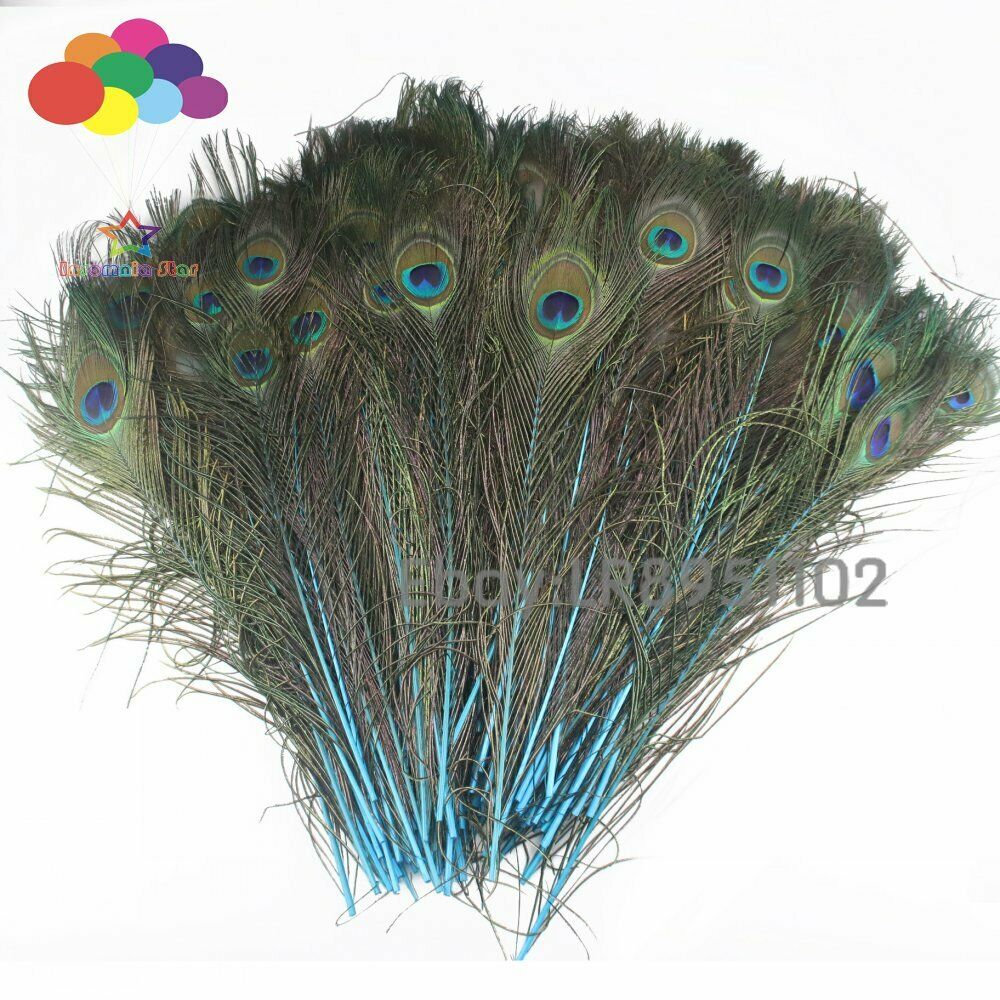 100 Pcs Lake blue Dyeing Peacock Feathers For Crafts Length 40-45CM  Diy Jewelry