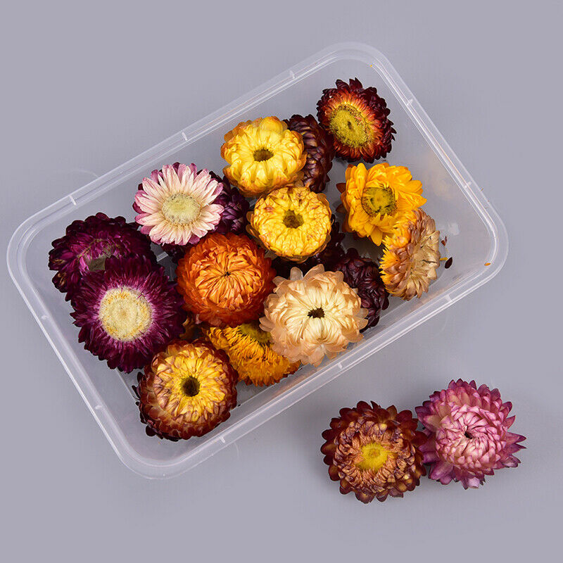 1Box Natural Colorful Chrysanthemum dried Flower heads Craft DIY Accessor.l8