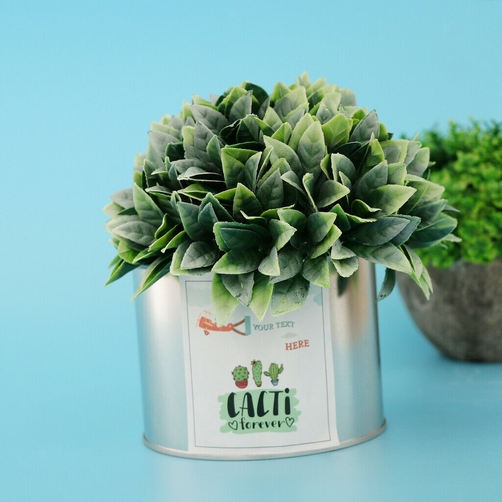 Metal Succulent Cactus Flower Pot Vase Flower Pitcher for Home Decoration S