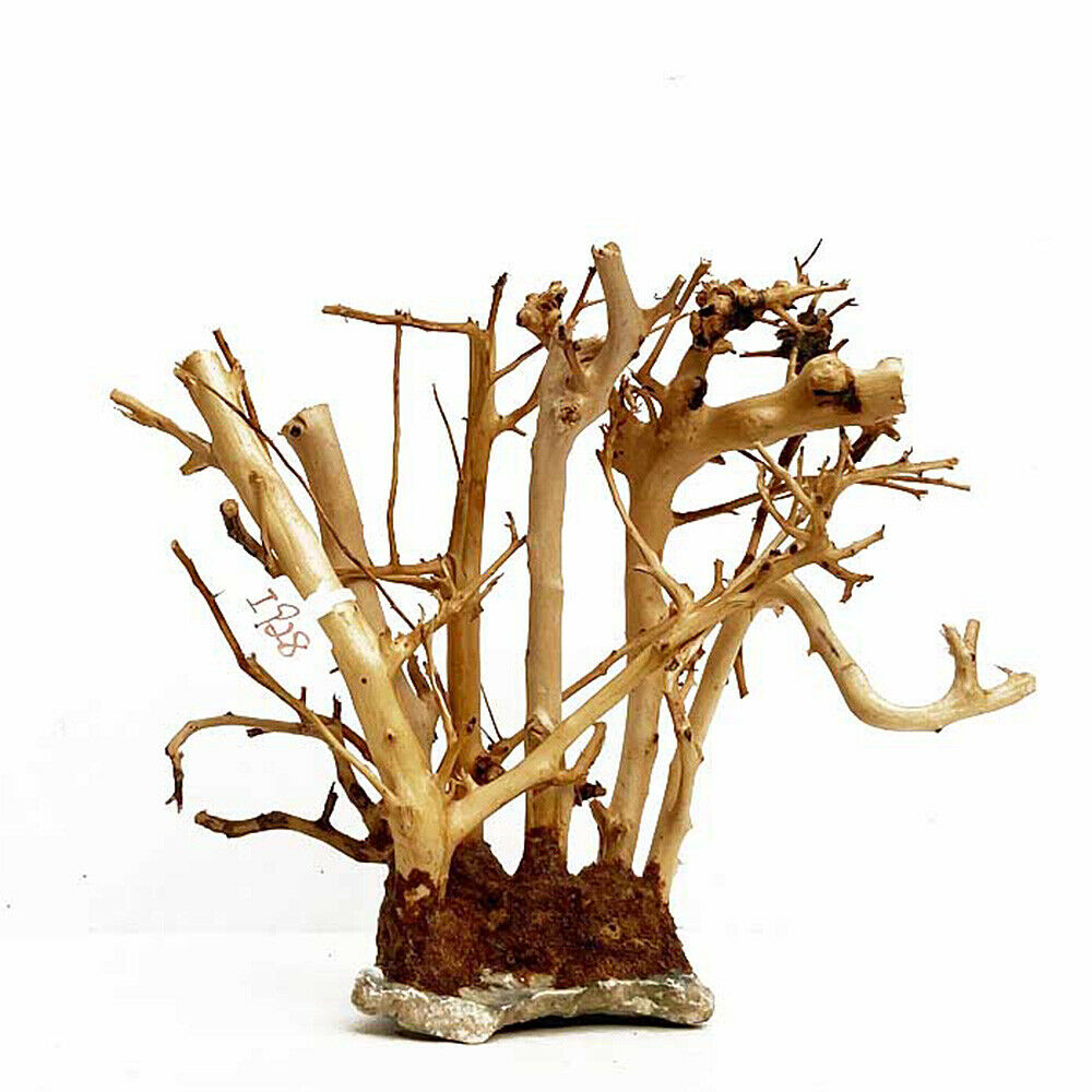 Small Forest Skeleton Wooden Branchâ€‹ Fish Tank Aquarium Landscape Ornament Decor