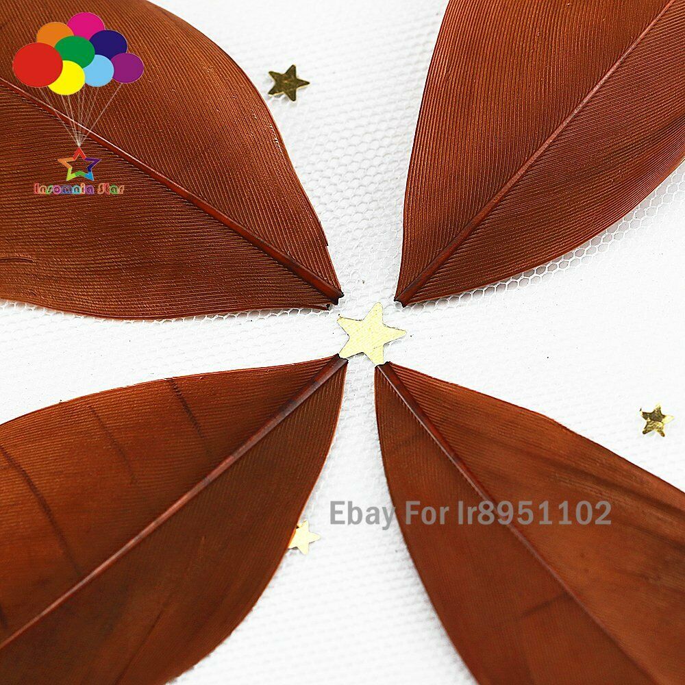 100PCS Coffee Goose Feathers loose round head Handmade Dyed Feather for Charm