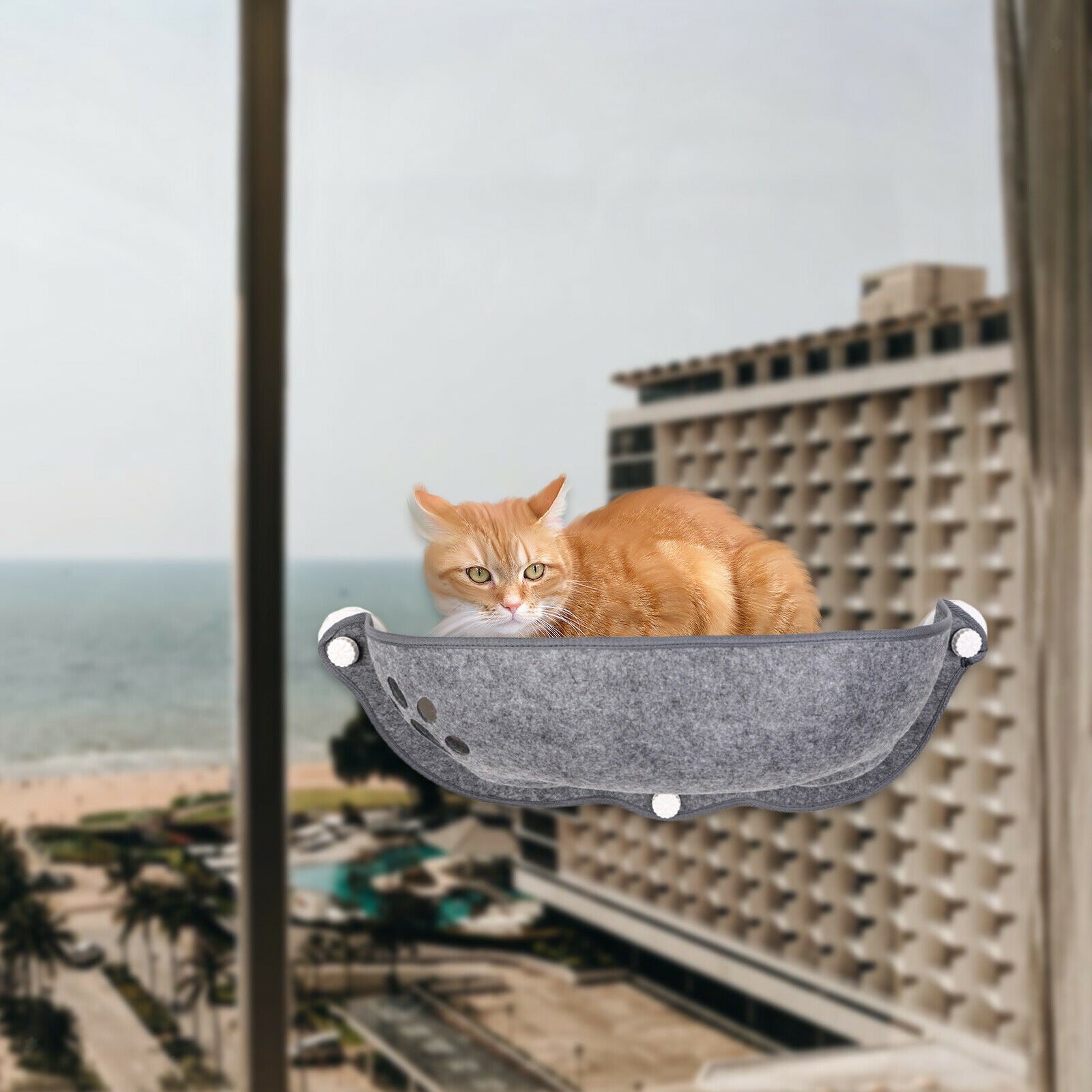 Soft Cat Hammock Cars Sunny Felt Bed Suction Cup Perch Washable Cushion Seat