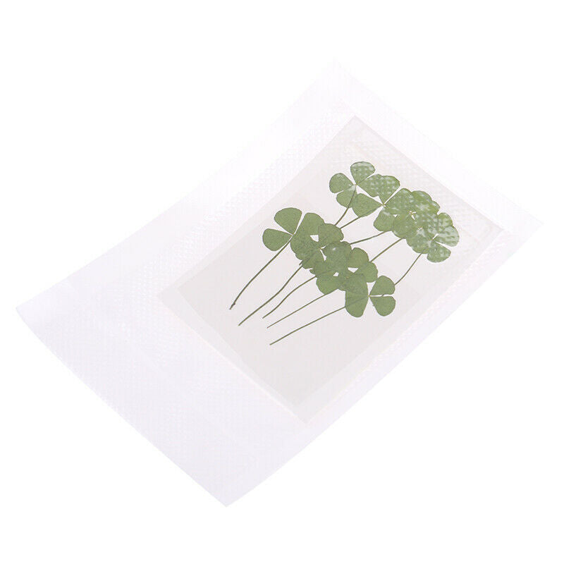 Four Leaves Dried flowers Card Making Scrapbooking Jewelry Furniture Deco.l8
