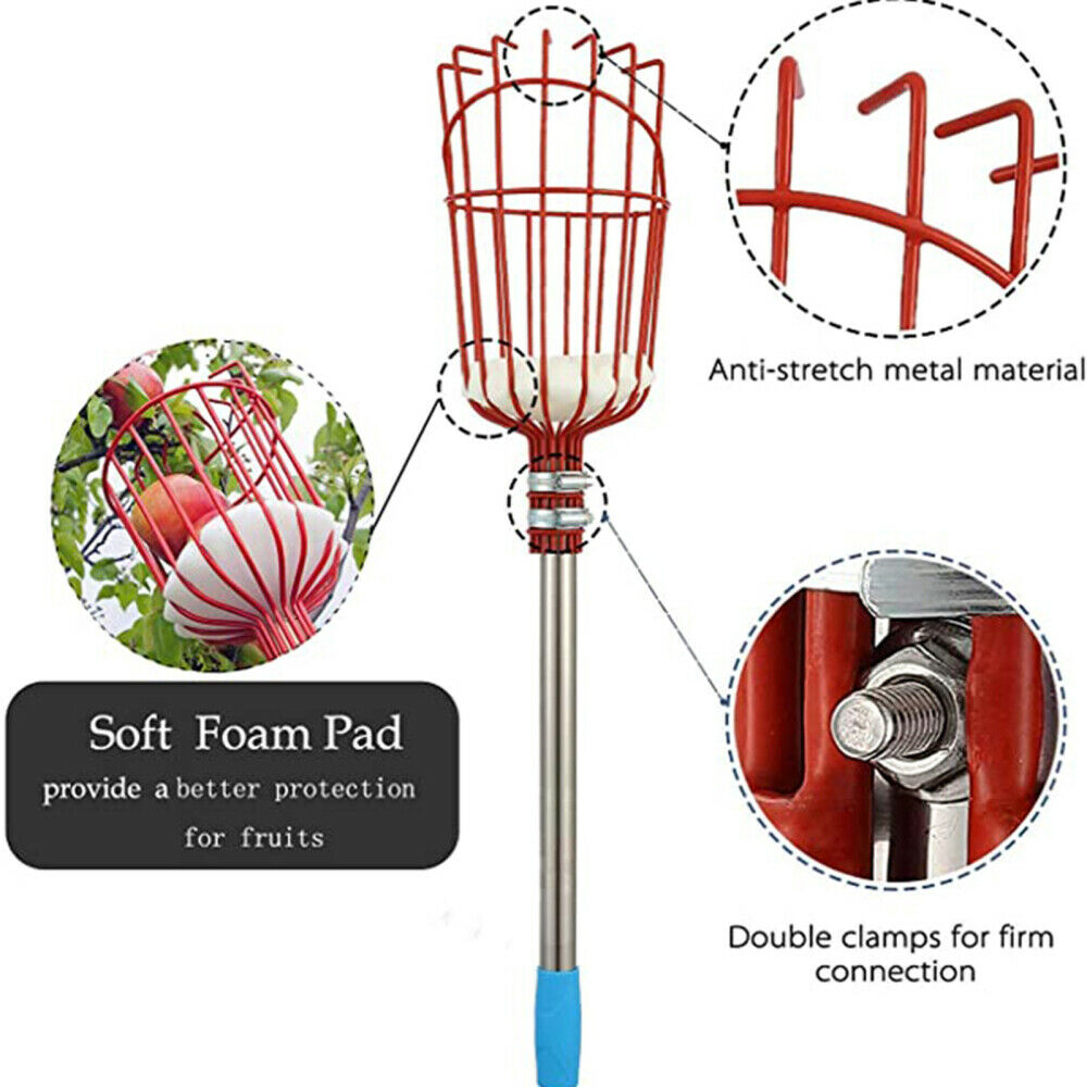 Orchards 5ft Fruit Picker Tool Stainless Height Adjustable Fruit Picker w/Basket