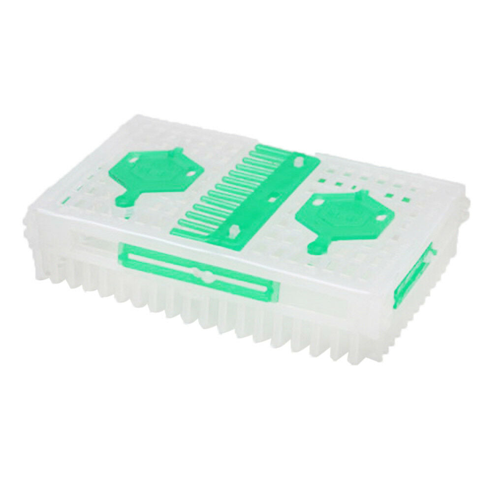 Beekeepers White Green Queen Bee Needle Isolator Cage Double Cages Design