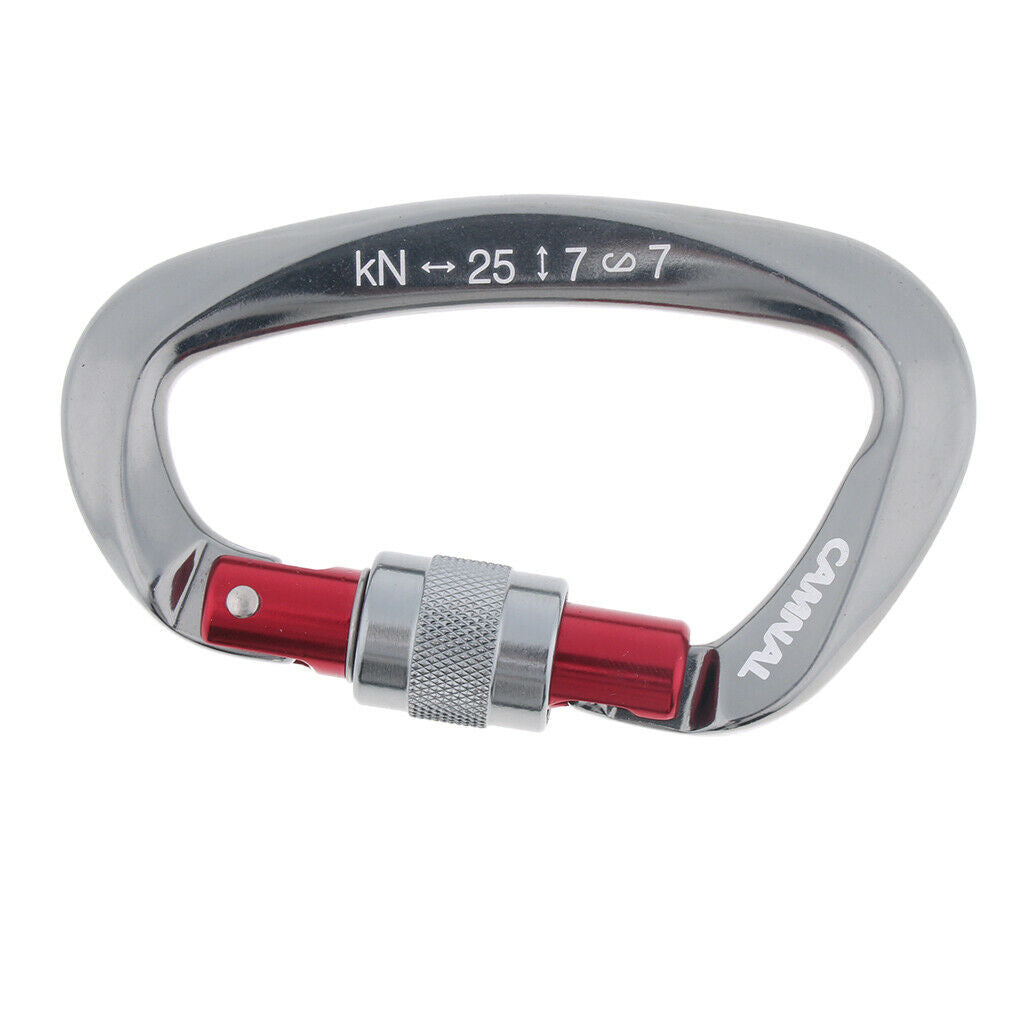 Climbing Carabiner Rappelling Mountaineering Caving Screwgate Clip Hook