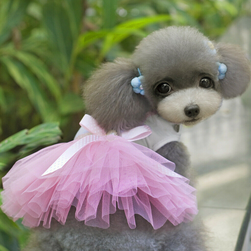 2 Pcs Summer Sweet Style Pet Dog Skirt, Cute Female Girl Pink Princess Dress for