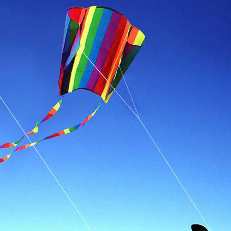 Outdoor Colorful Parafoil Flying Kite w/ 30m Line Children Kids Children Gift HN
