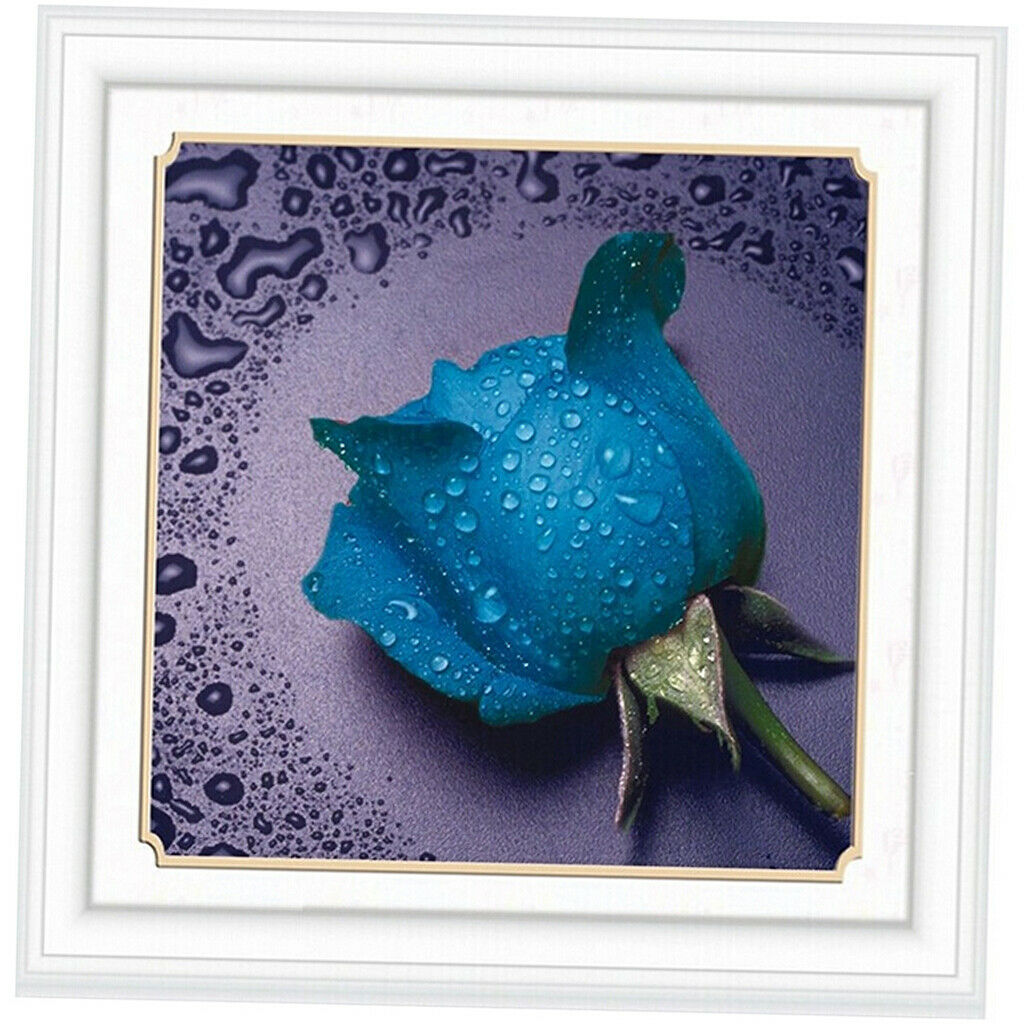 5D Diamond Painting Embroider Cross Stitch Craft DIY  Drop Blue #12