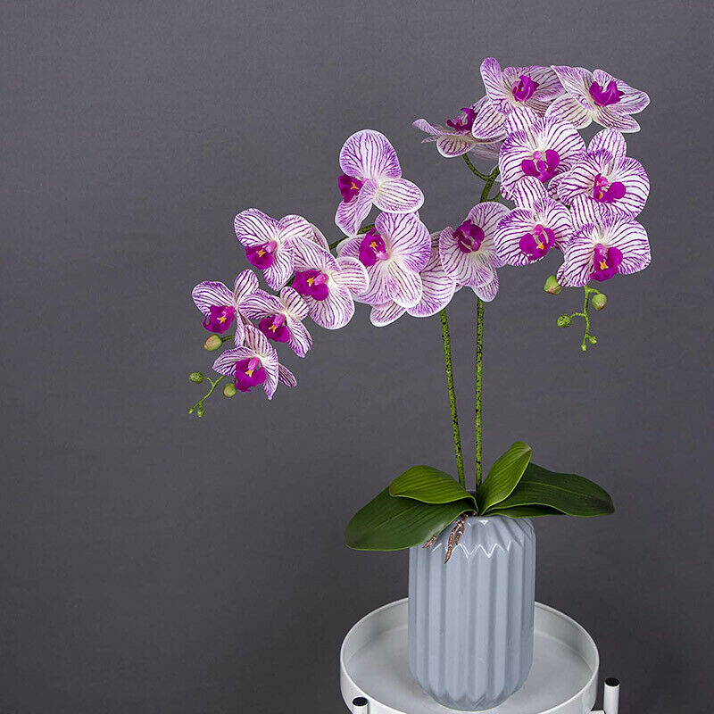 2Pcs Real Press Orchid Stems Flowers Artificial Phalaenopsis Branches 9 LargW3N3