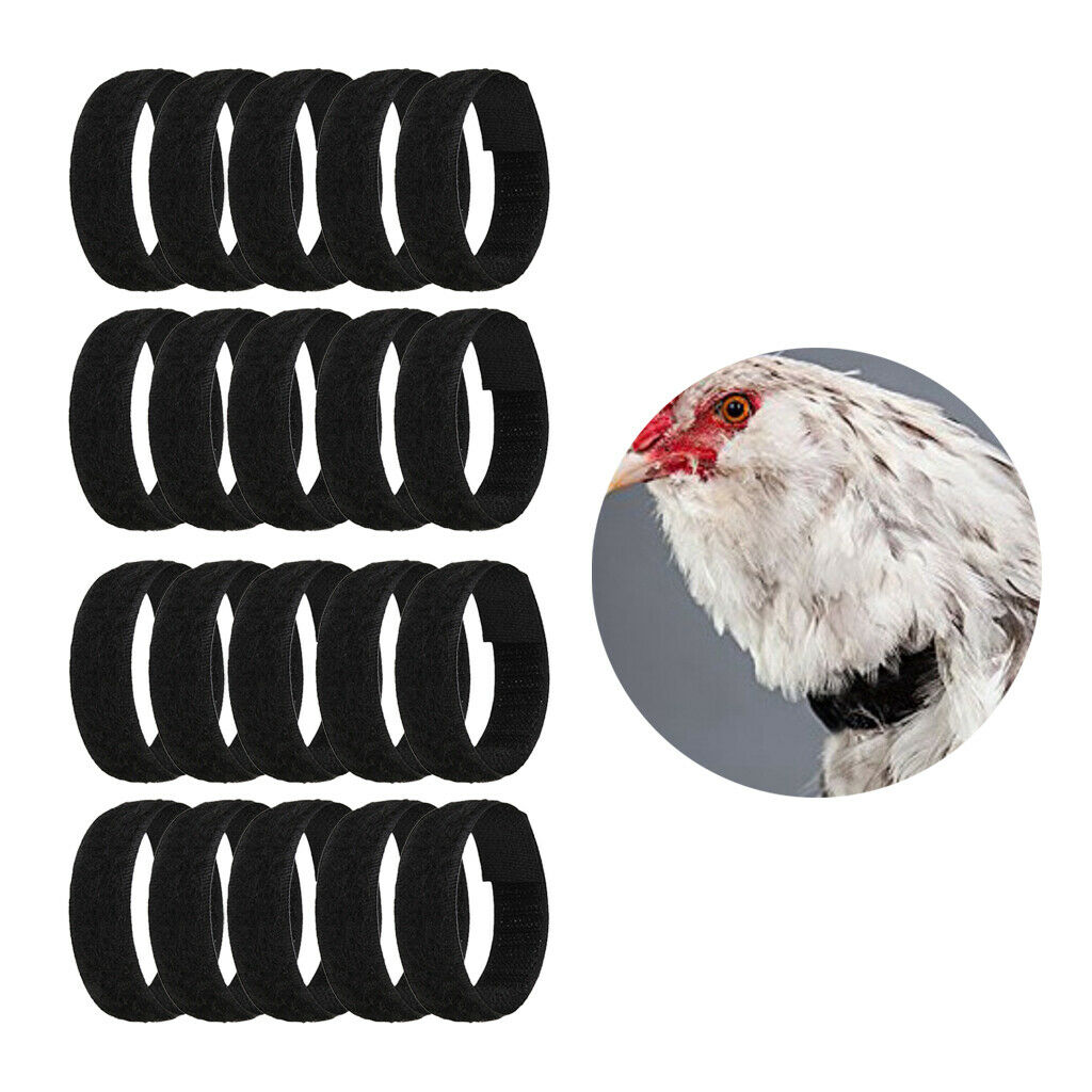 20Pieces Chicken Collar Prevent Chicken from Screaming For Chicken Goose