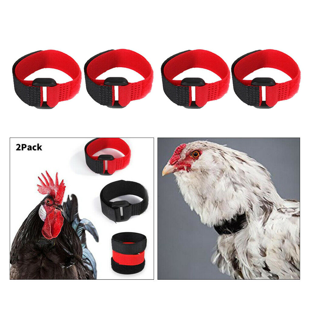 4pcs Rooster Collar Prevent Chicken from Disturbing Neighbors for Duck Red