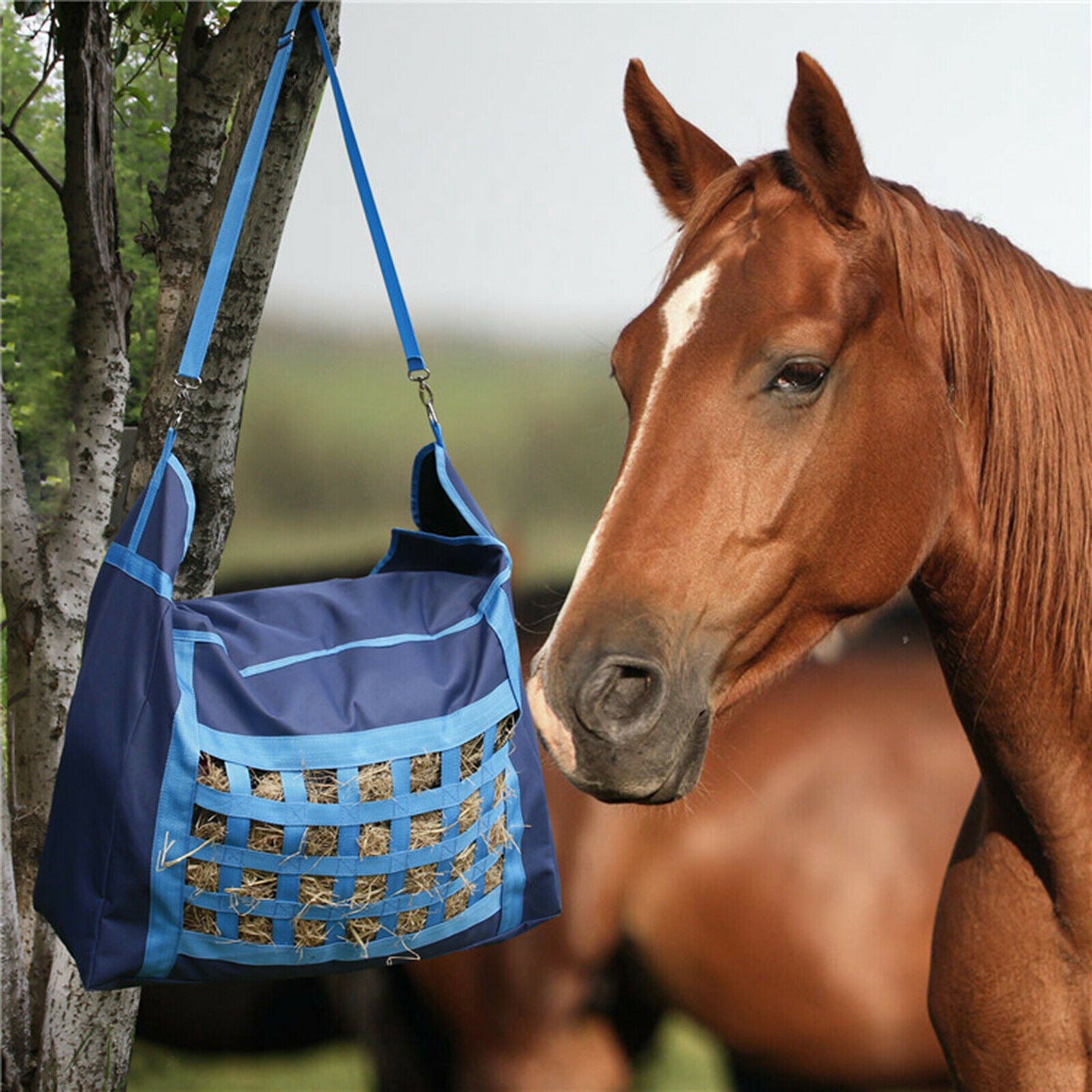 Pro Horse Hay Bag Hay Net Haylage Storage for Horse Animals Accessories