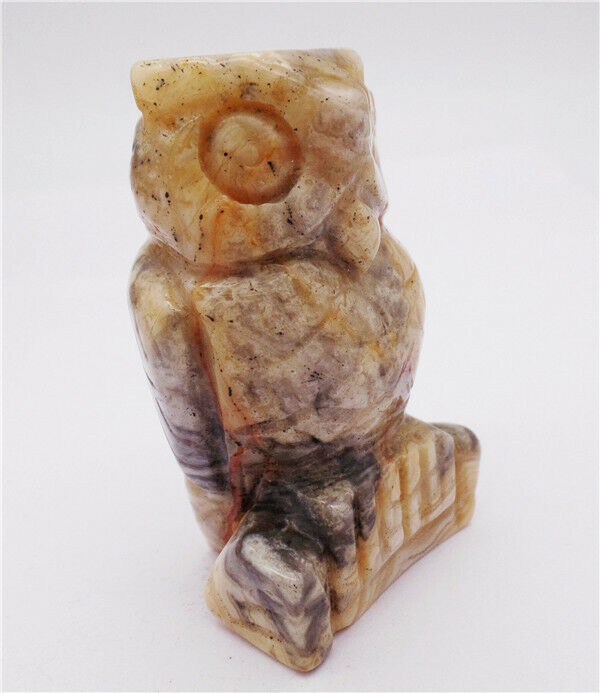 63x38x28mm Natural Crazy Lace Agate Carved Owl Decoration Healing Statue HH8094