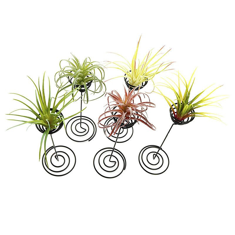 Creative Iron Air Pineapple Base Plant Flower Pot Rack Holder Home Garden.l8