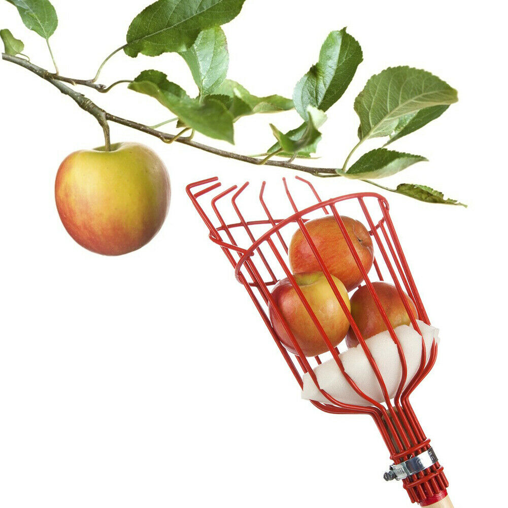 Metal Fruits Picking Tool Greenhouse Apples Peaches Orange Catcher Picker  @