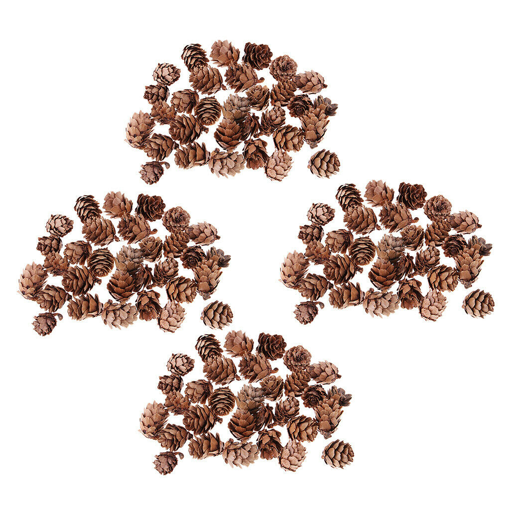 120pcs Natural Decorative Pine Cones Pinecone for Florists Crafts Decoration