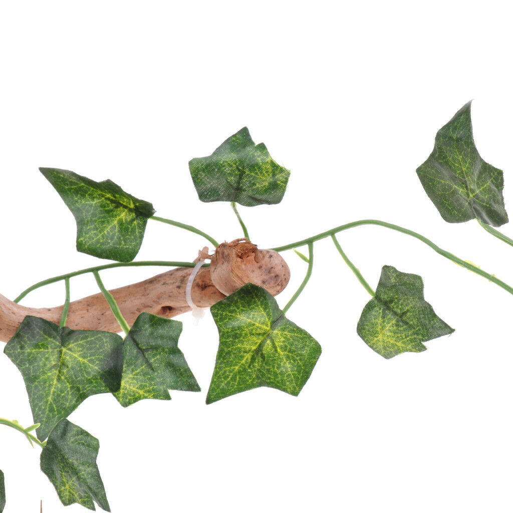 Reptile Cave Terrarium Climb Pet Hiding Shelter for Amphibians Decorative