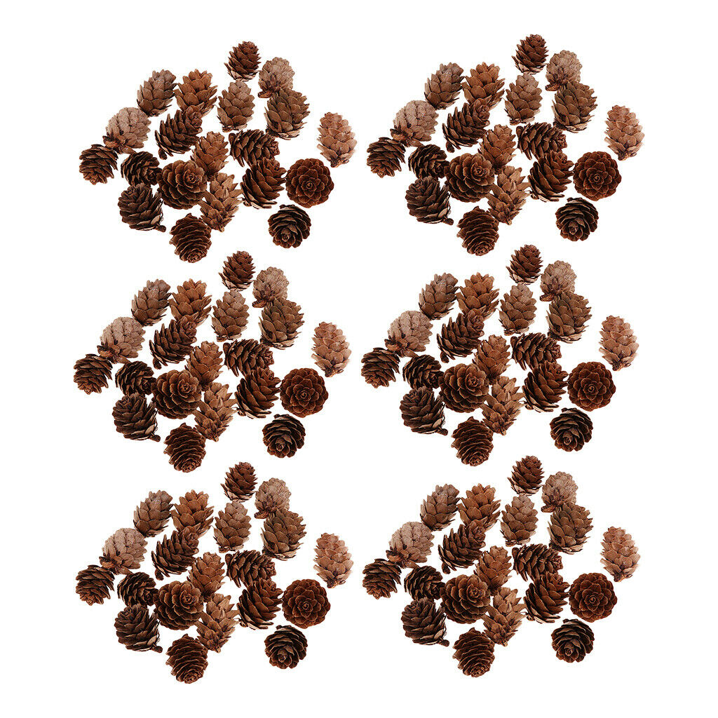 120pcs Pine Cones Decorative Premium Pinecones Home Party DIY Embellishments