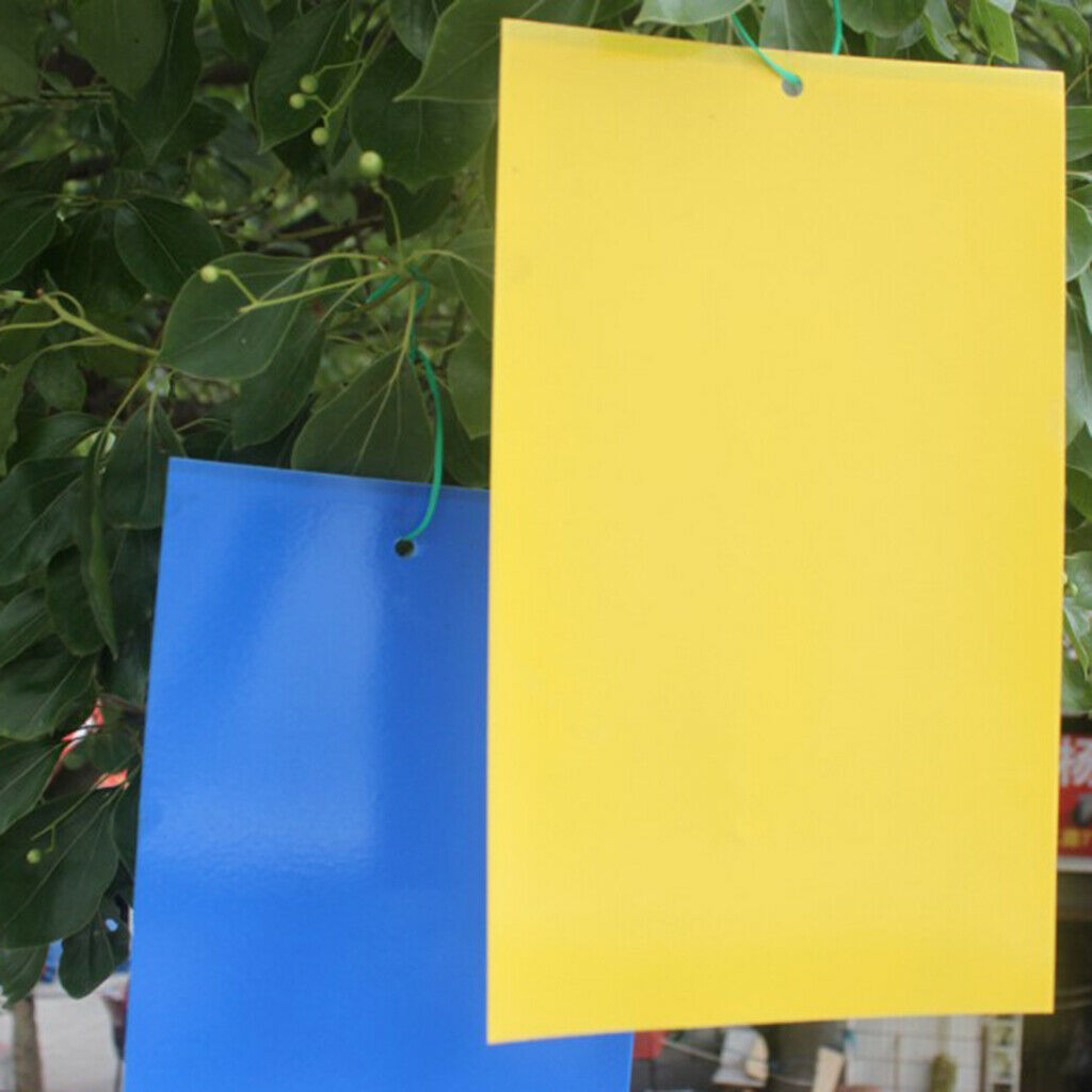 40-Pack Dual-Sided Sticky Traps for Indoor/Outdoor Insect, Such as Fungus Gnats,