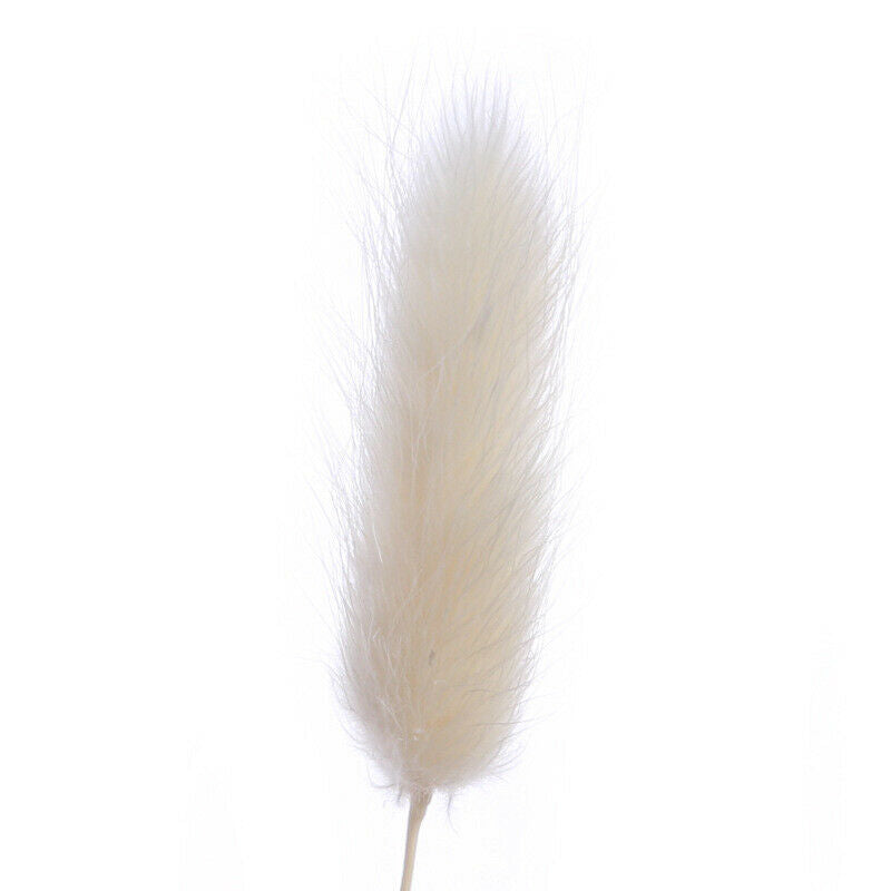 10pcs Artificial Dog Tail Grass Reed Diffuser Fragrance Flower Auxiliary Decor