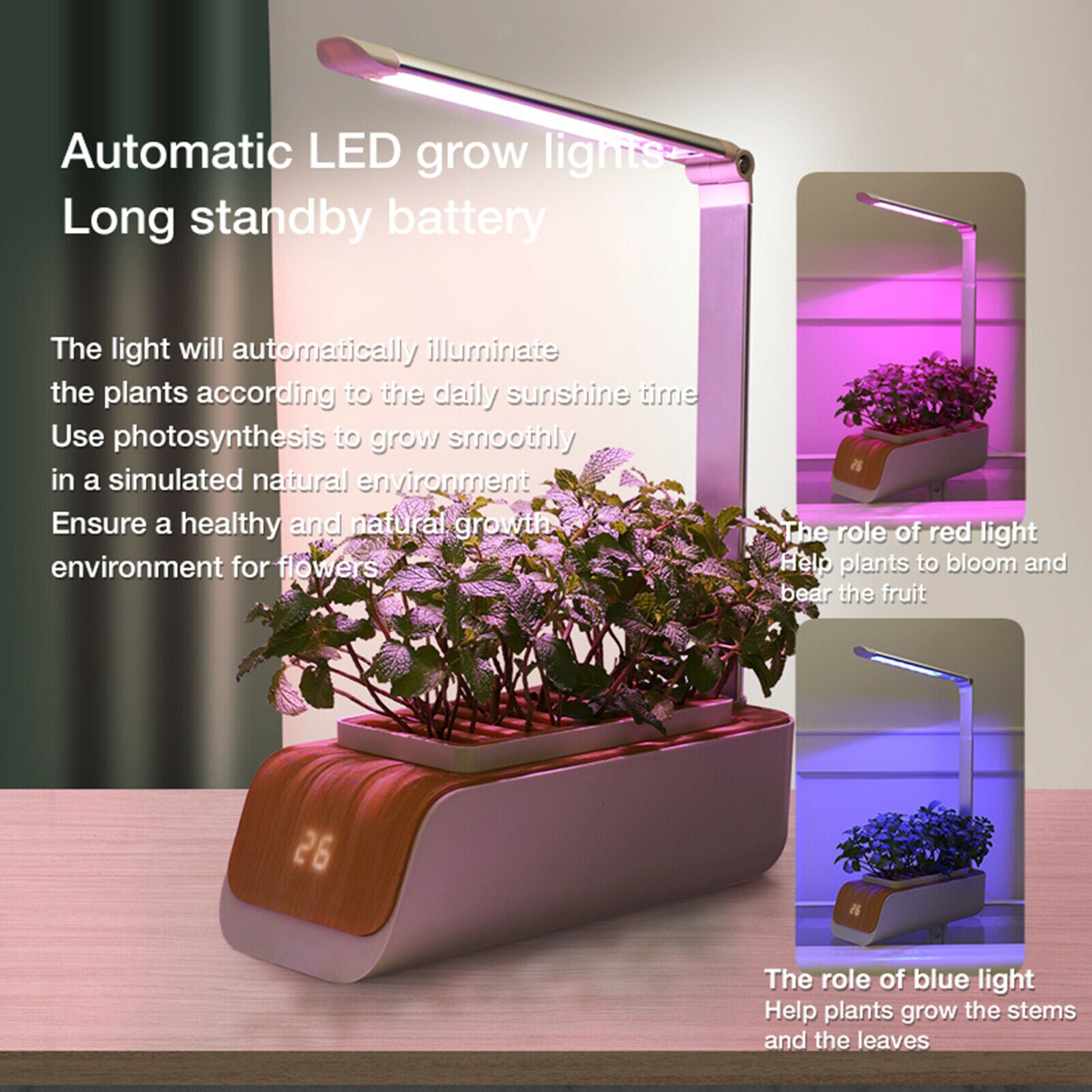 Indoor Herb Garden Starter Kit Kitchen Smart Planter LED Grow Light Kit