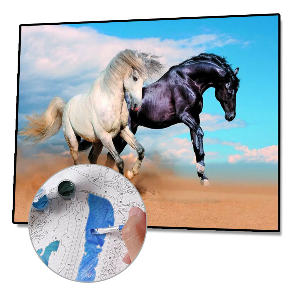 Painting By Numbers Kit DIY Fine Horse Hand Painted Canvas Oil Art Picture @