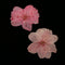 10pcs Artificial Pressed Dried Cherry Blossom Dried Flowers Embellishments Card