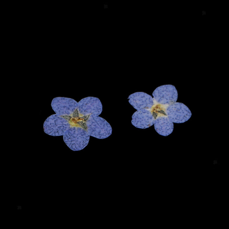 40Bag Random Natrual Dried Flowers Leaves Embellishments DIY Decoration